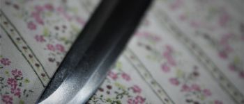 Pavel Bolf - Tanto aikuchi dashi zame koshirae