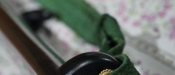 Pavel Bolf - Tachi ve stylu Denta Mitsuyo