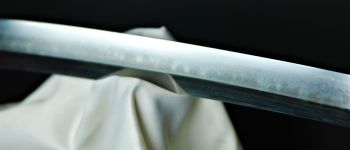 Pavel Bolf - Ichimonji katana detail čepele