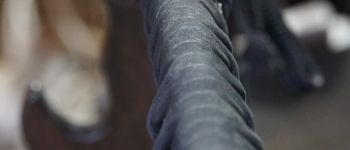 Pavel Bolf - katana tensho koshirae