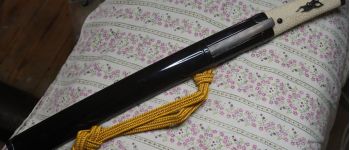 Pavel Bolf - Hira zukuri tanto in aikuchi koshirae