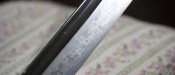 Pavel Bolf - katana tensho koshirae