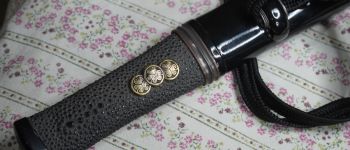 Pavel Bolf - Tanto v Aikuchi koshirae