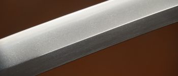 Pavel Bolf - Tachi ve stylu Denta Mitsuyo