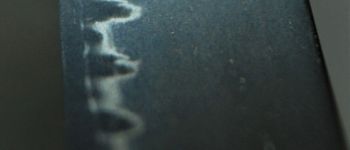 Pavel Bolf - Sunobi tanto ve stylu školy Mino, detail čepele