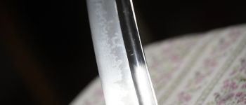 Pavel Bolf - katana tensho koshirae