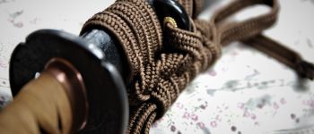 Pavel Bolf - O-wakizashi, tensho koshirae, Tsuba