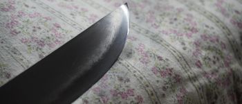 Pavel Bolf - Hira zukuri tanto v aikuchi koshirae