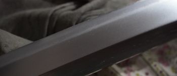 Pavel Bolf - Tachi ve stylu Denta Mitsuyo