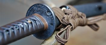 Pavel Bolf - Tachi v uchigatana koshirae, Kamakura Ichimonji styl, Tsuba