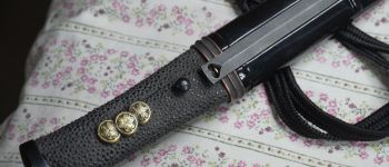 Pavel Bolf - Tanto v Aikuchi koshirae