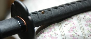 Pavel Bolf - Katana ve stylu období Nambokucho