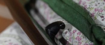 Pavel Bolf - Tachi ve stylu Denta Mitsuyo