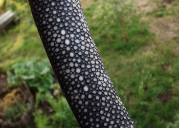 Pavel Bolf - nože z překládané oceli a oceli oroshigane 