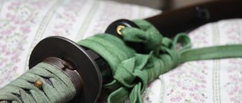 Pavel Bolf - Tachi ve stylu Denta Mitsuyo