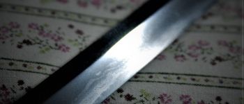 Pavel Bolf - Tachi in the style of Kamakura period Blade detail